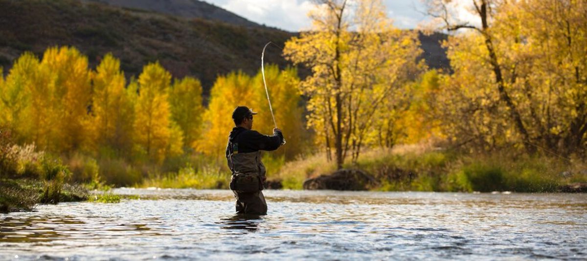 Fall Fly Fishing Report