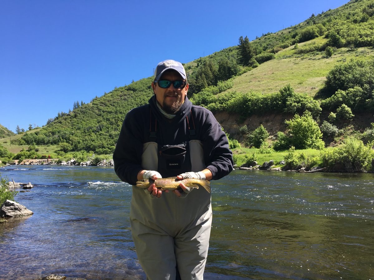 Lower Provo Fishing  Report  Early Summer 06-02-2018