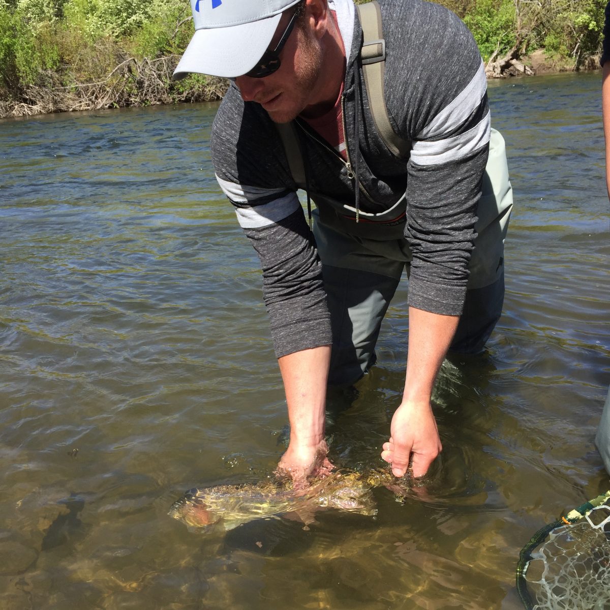 Fly Fishing Report Park City  Middle Provo 06-01-2018