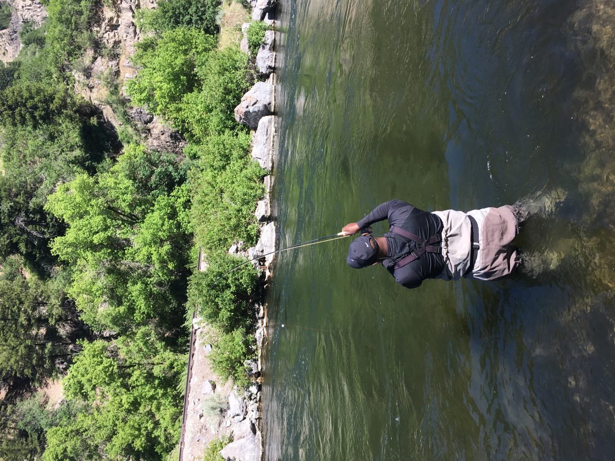 Lower Provo River 06-11-18