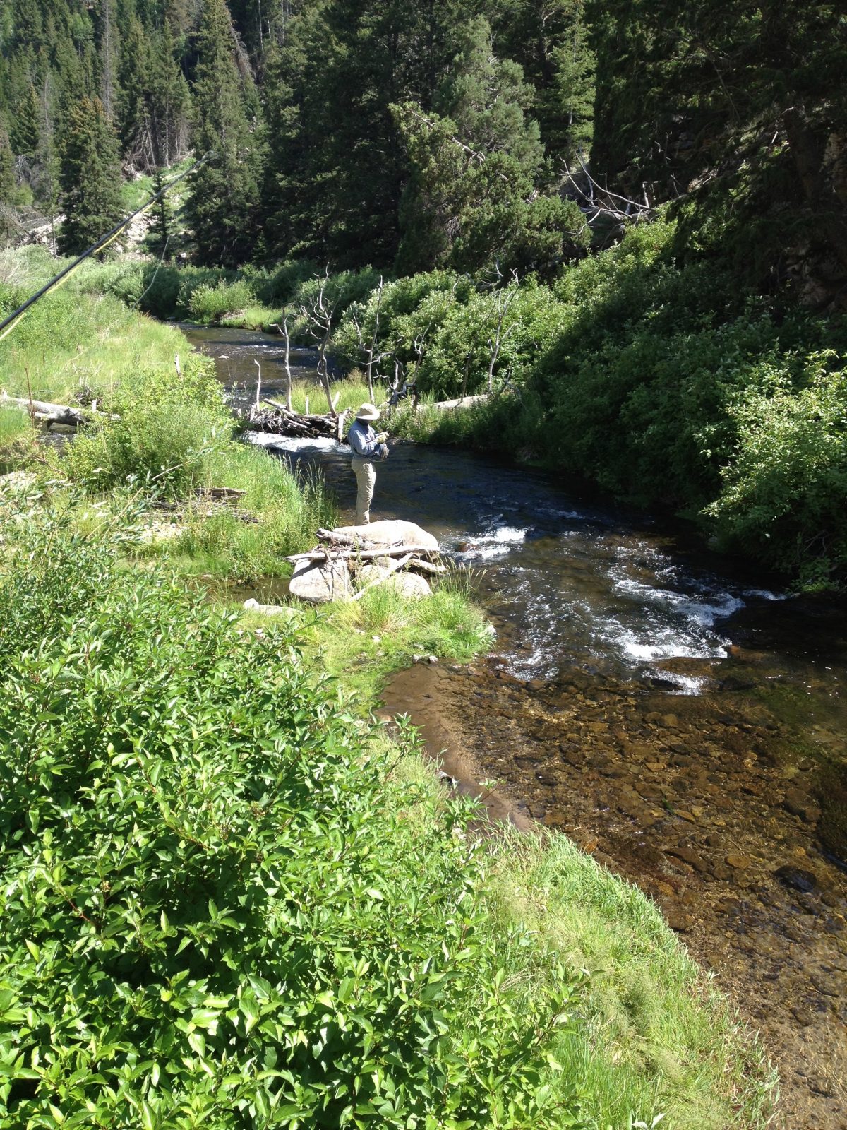 Salt Lake City Fishing Report Small Streams  06-05-2018