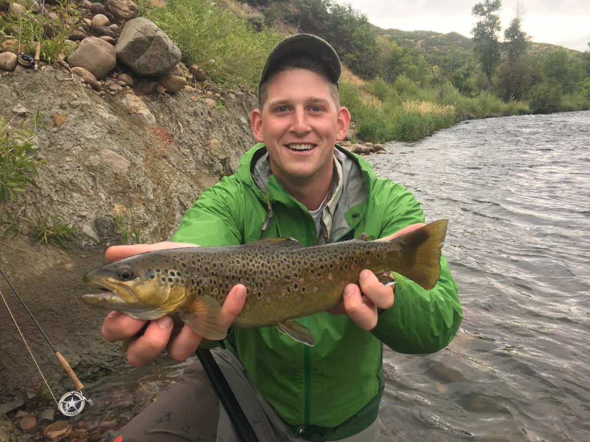 Middle Provo Fishing Report