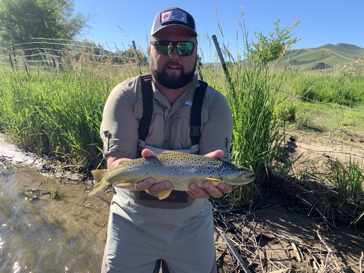 Summer Fly-Fishing