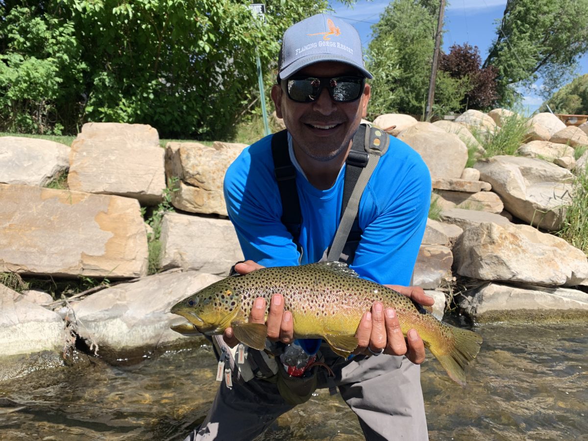 July Fly-Fishing